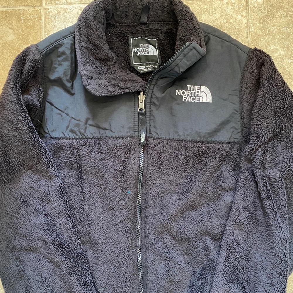 The north face jacket